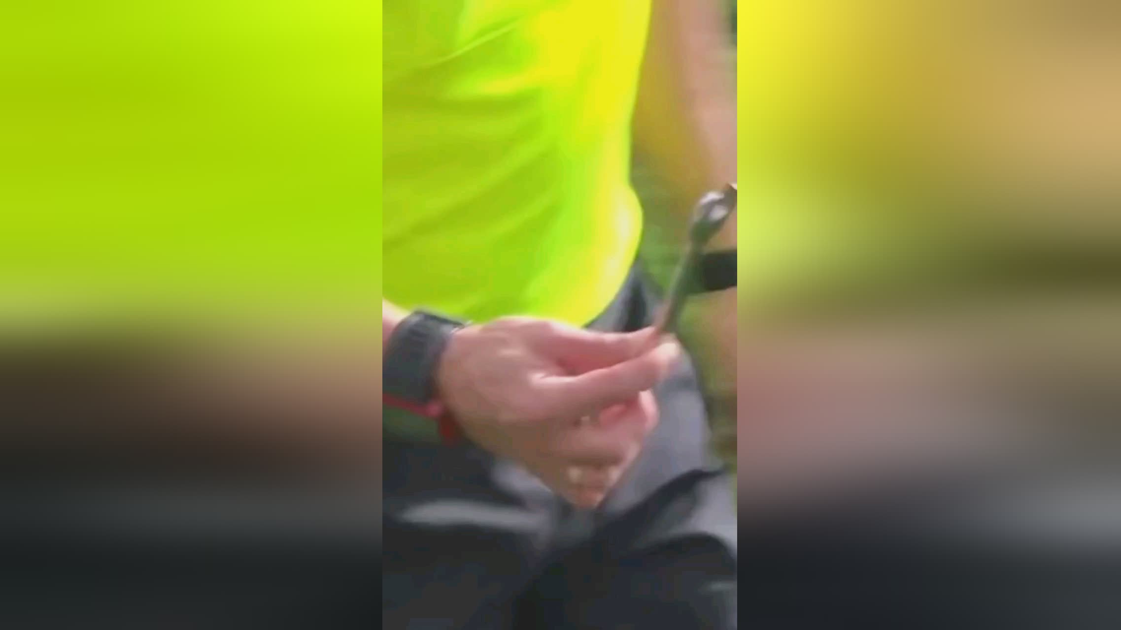 实属